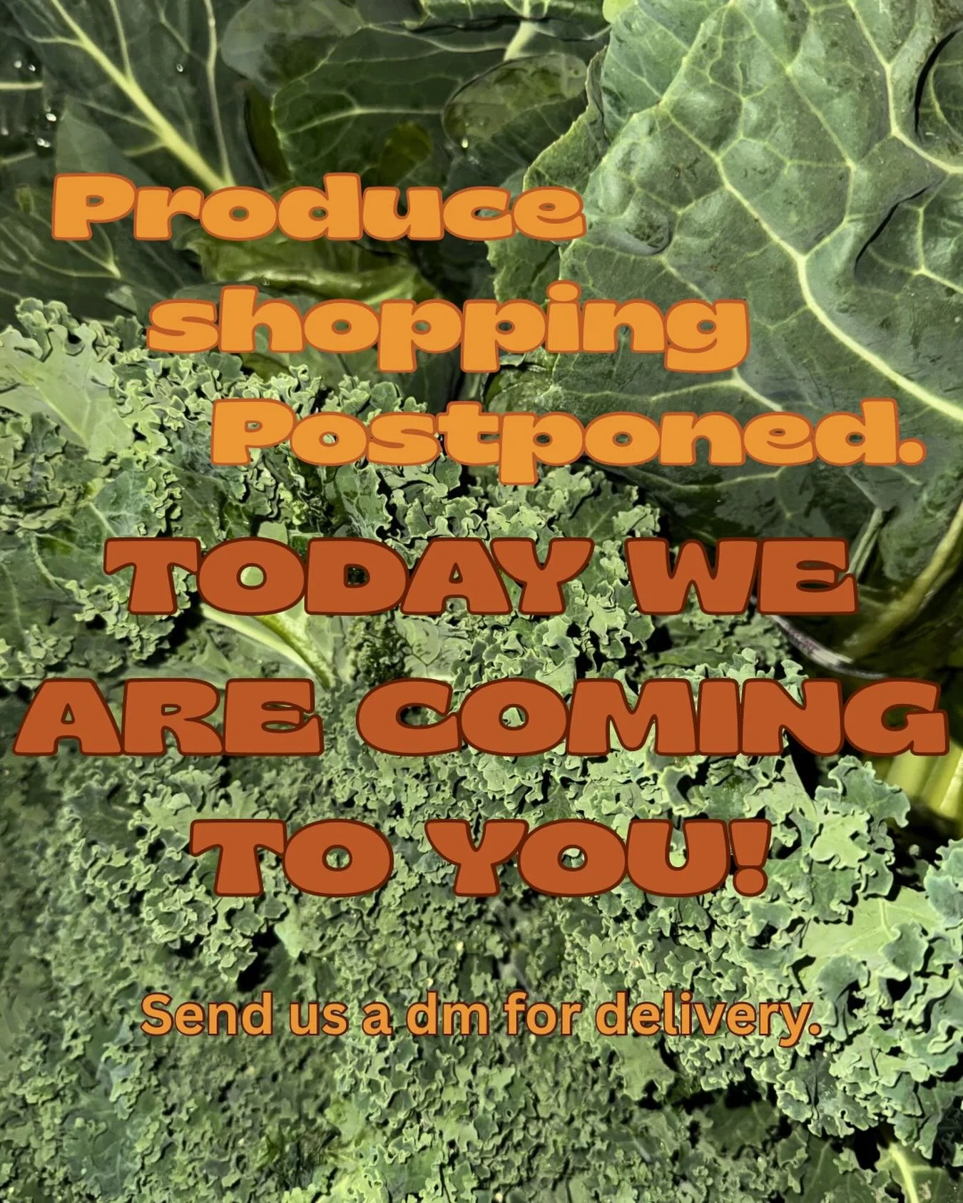 Today we&rsquo;re coming to you 🚚🌿 We&rsquo;re transitioning our food distribution and want to make sure our community still gets what they need. Fresh produce, delivered to your door 🌱 If you&rsquo;ve visited us this year, send us a DM and we&rsq