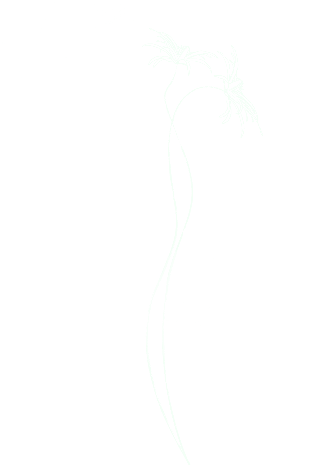 A stylized, high-contrast black and white outline of a delicate flower with long, curved stem and petals.