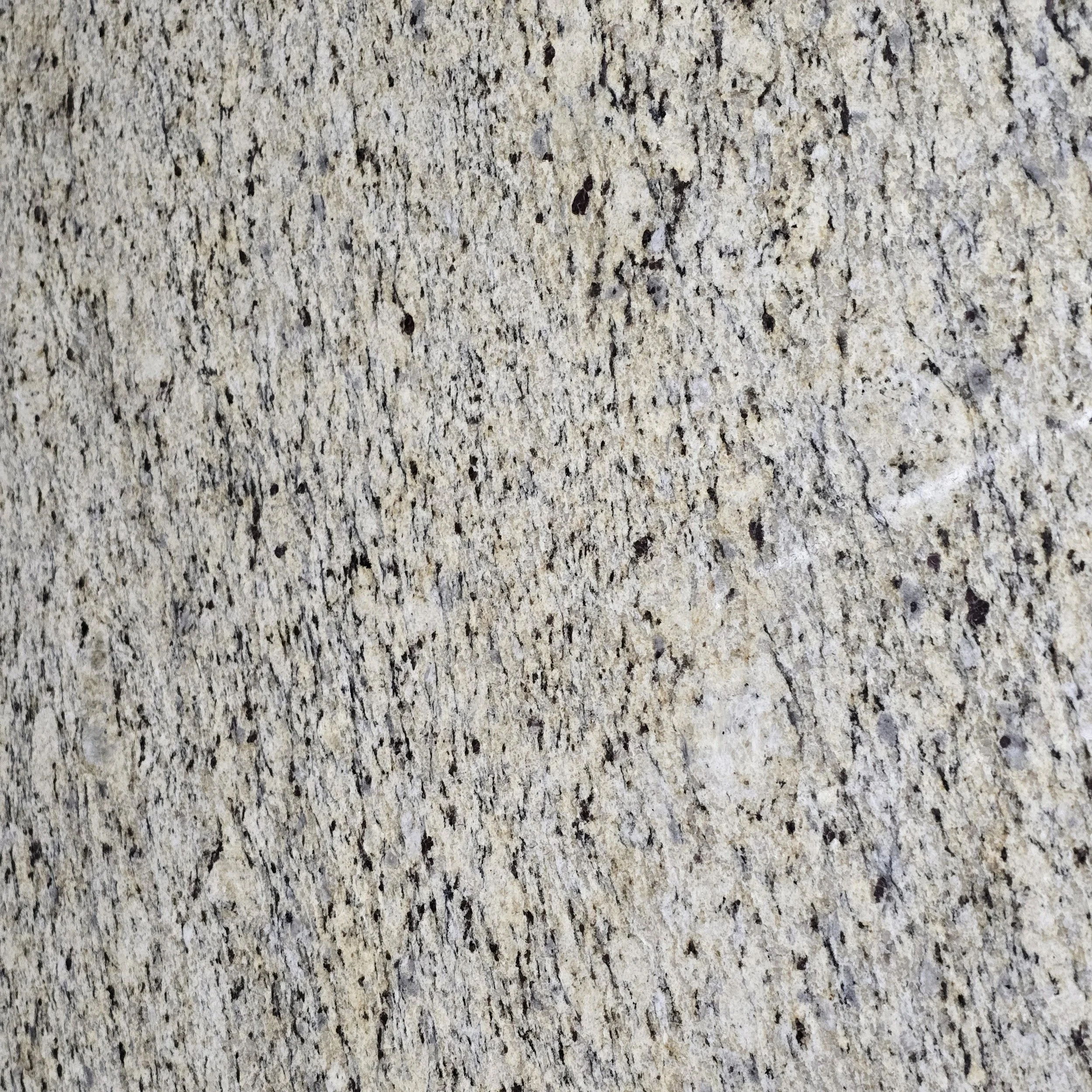 Giallo Ornamental.jpg