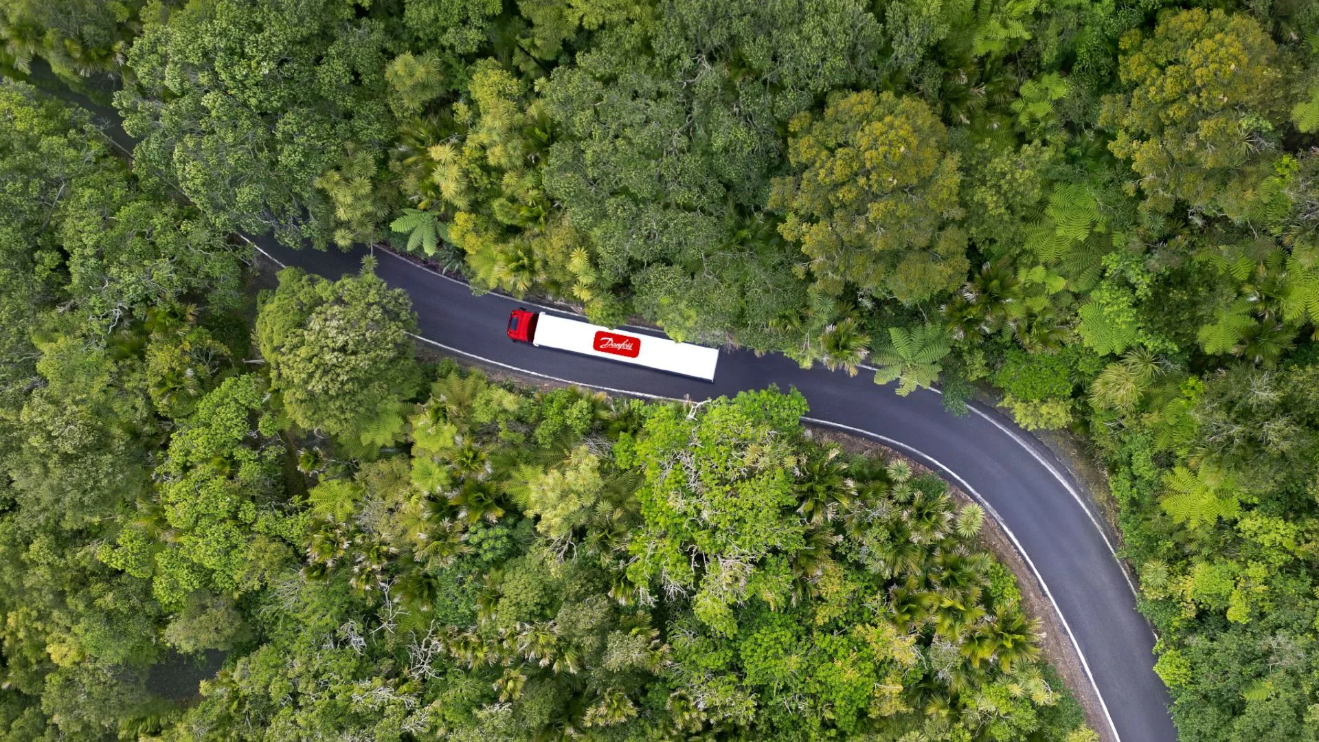 A red semi-truck with a white trailer driving on a winding narrow road through a dense green forest.