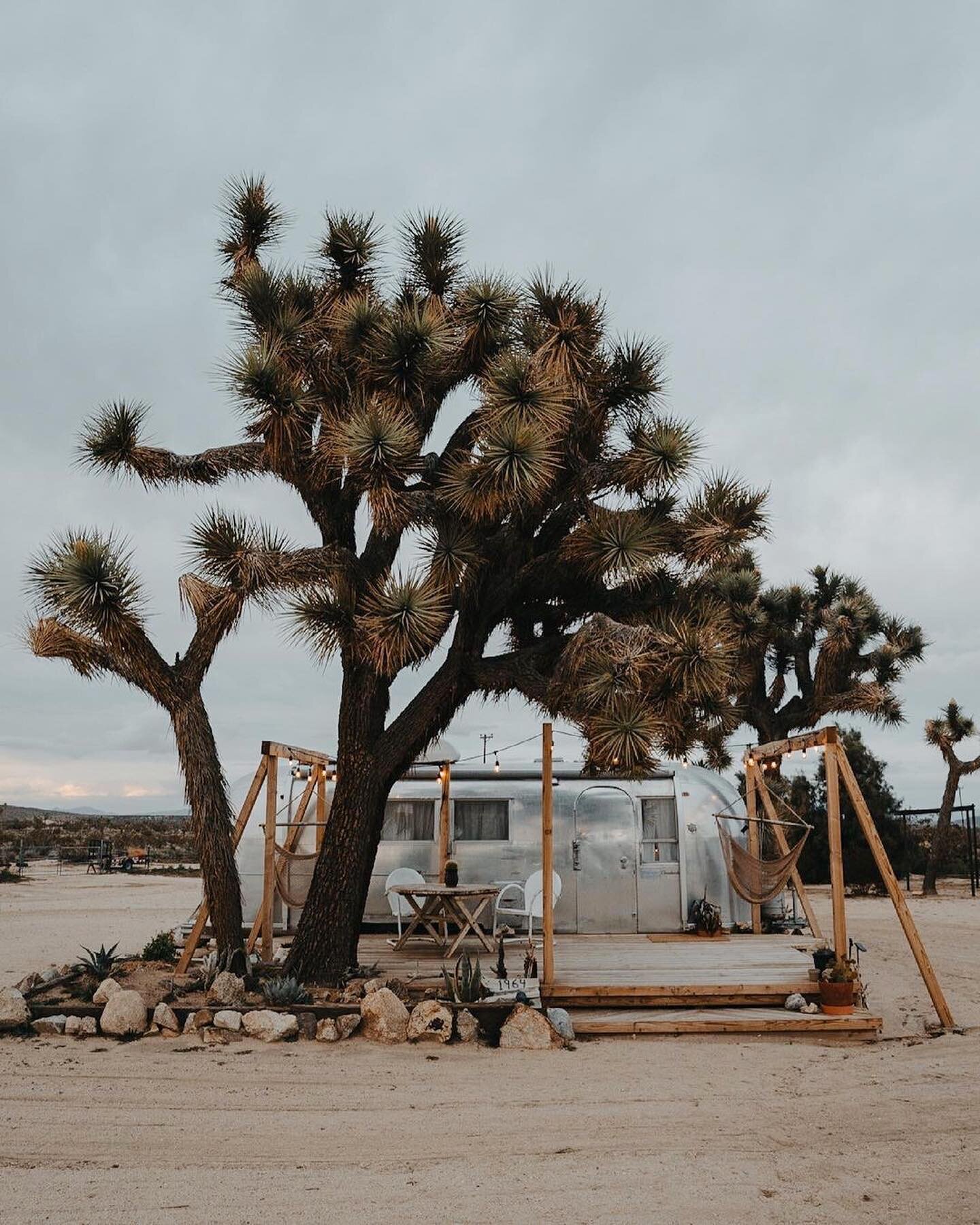 California&rsquo;s Charming Airstream Oasis will transport you back to another era when computers were first being realized and Bruce Springsteen was Born to Run. Come lose yourself among the wild Joshua Tree Acres 💫

📸philngyn