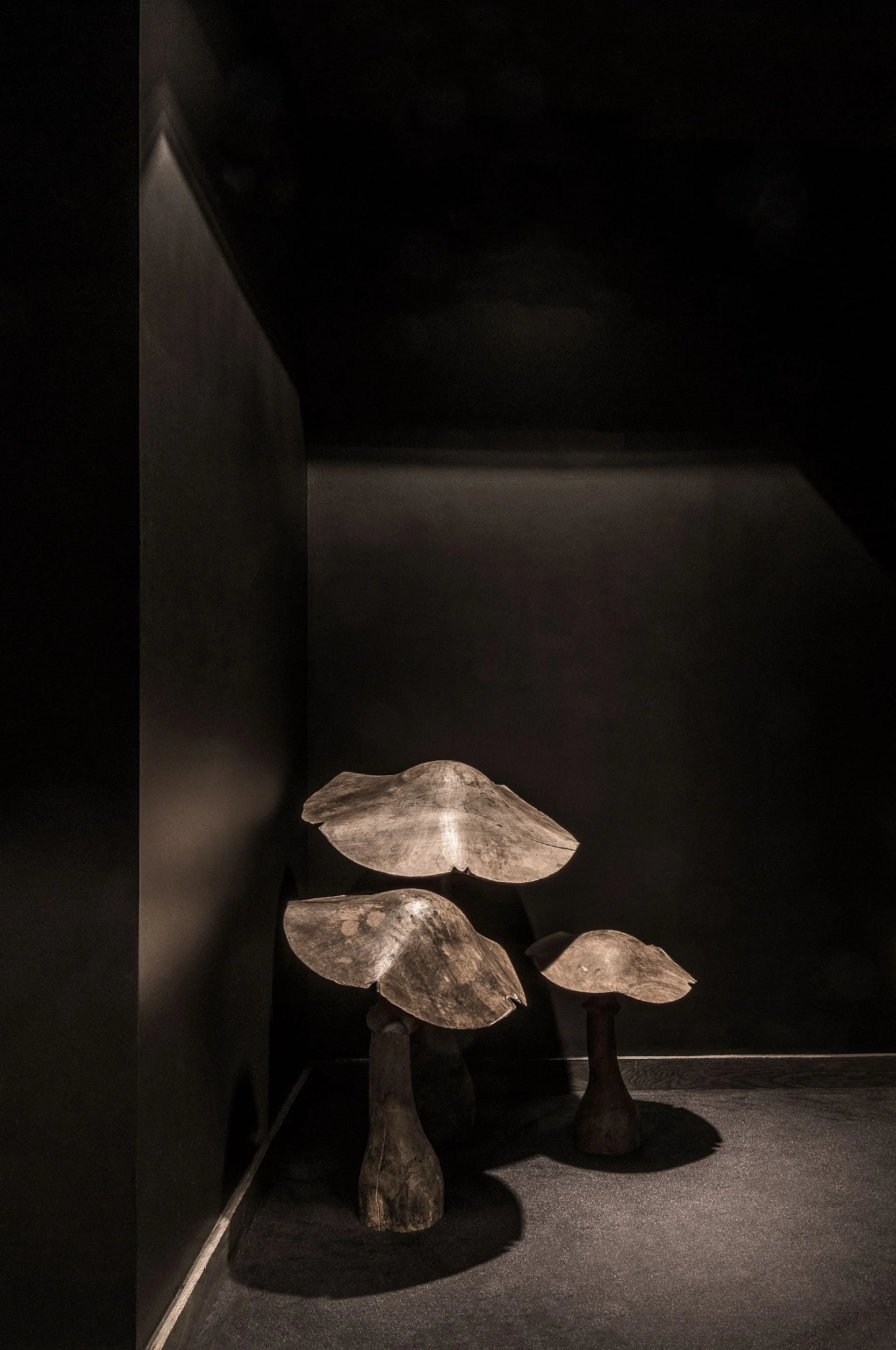 085-la-maison-champs-elysees-mushrooms-hallway-deco-NEW_EXPLOY.jpg