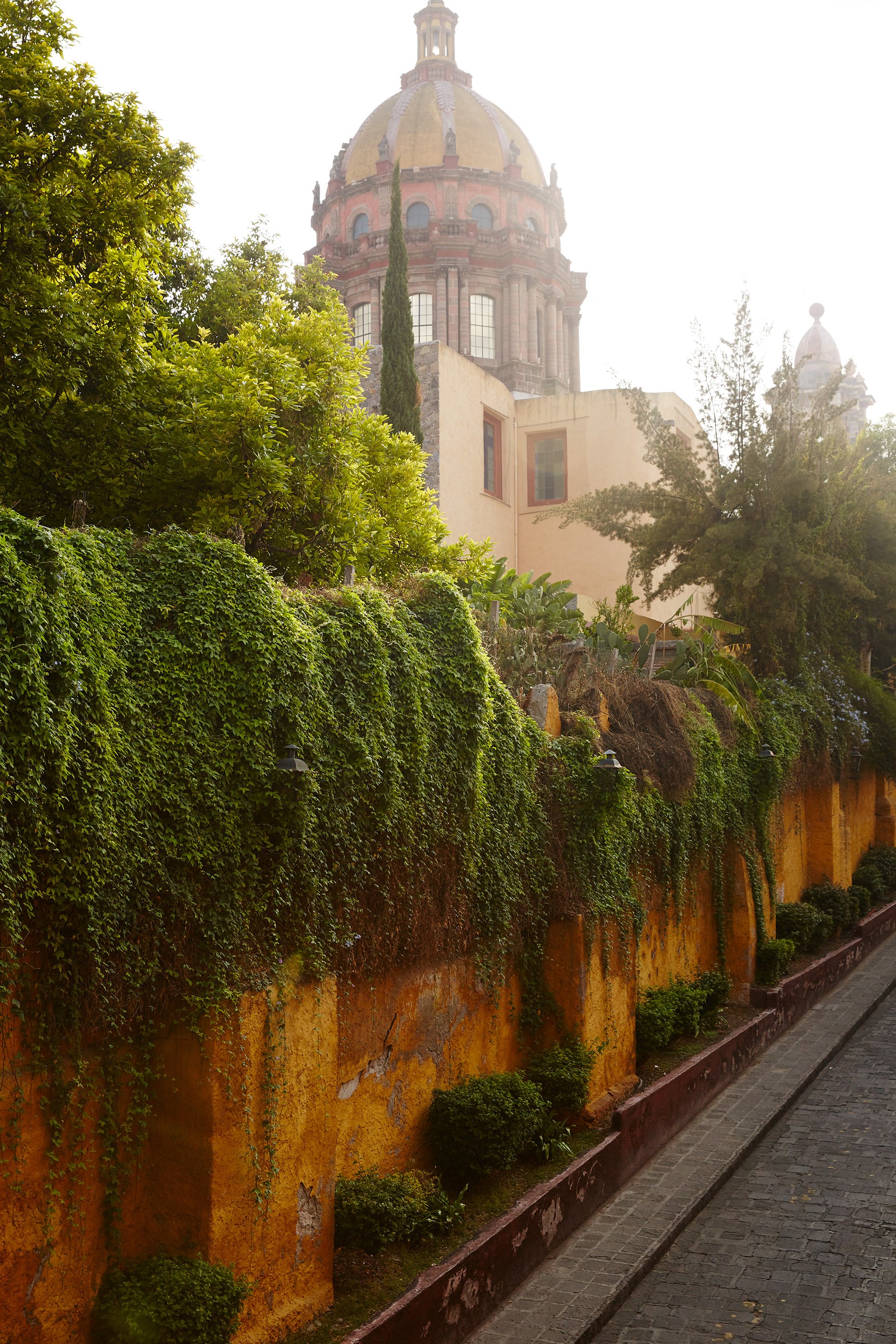 dos-casas-hotel-and-spa-san-miguel-de-allende-city-view-made-by-originals-269_EXPLOY.jpg