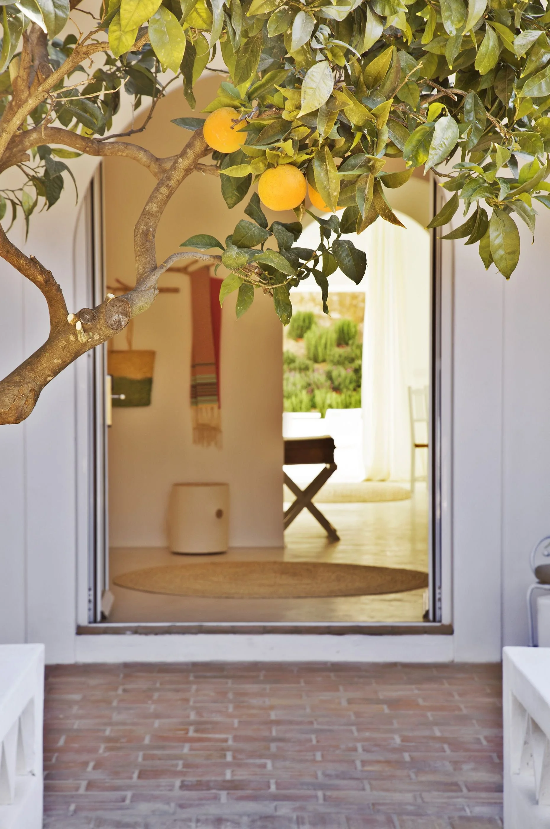 432-vila-monte-guestroom-view-lemon-tree-NEW_EXPLOY.jpg