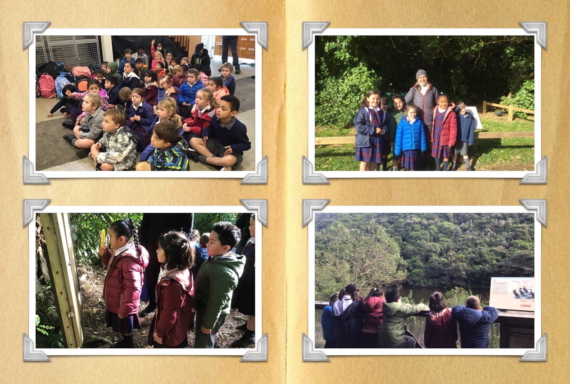Zealandia Trip — St Teresa's School