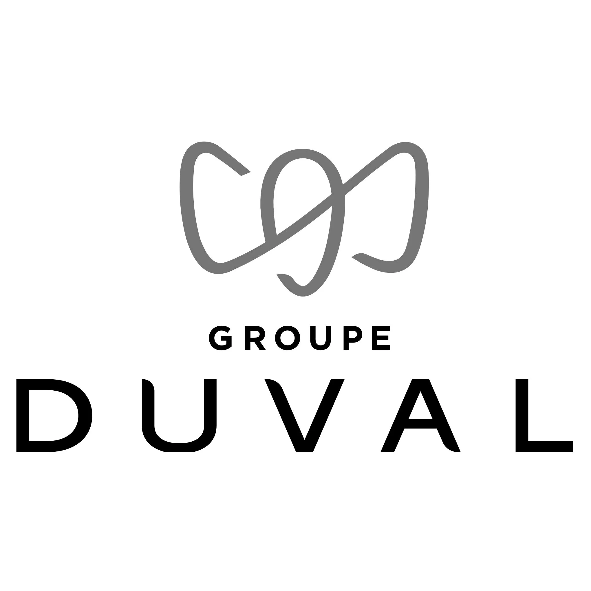partenaires_promoteur_groupe-DUVAL_logo.jpg