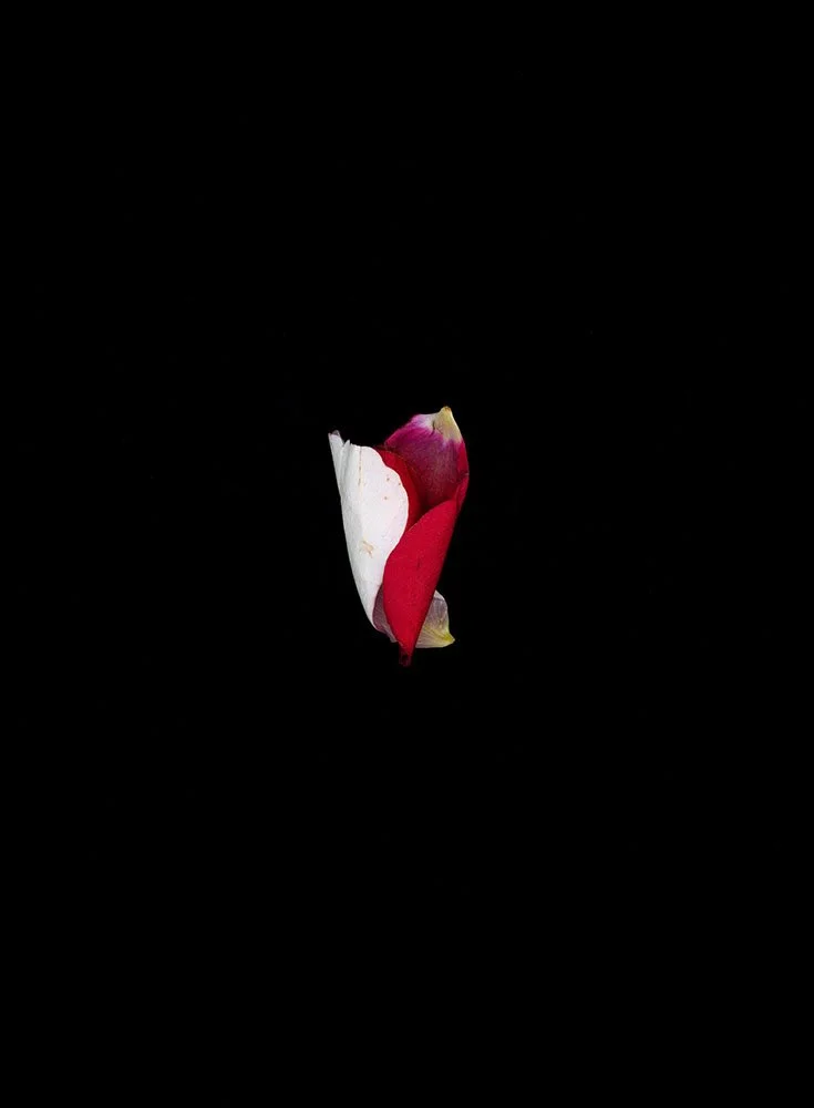Found 2023 - ongoing