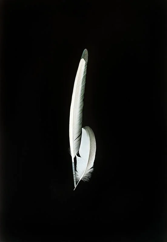 image02086 lab sharp.jpg