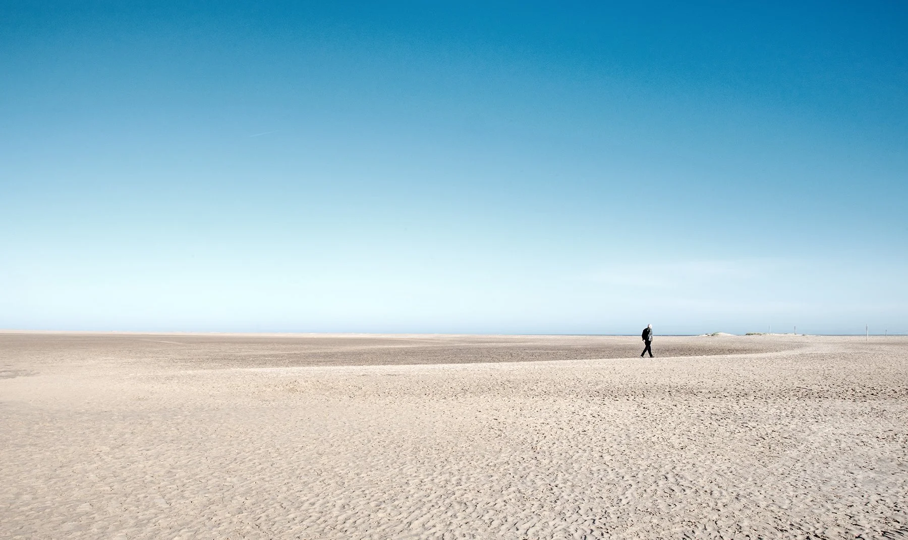 Landscape 2025 - ongoing