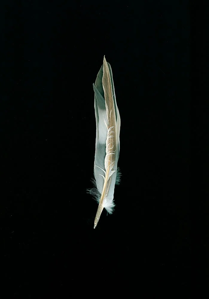 image01328 lab sharp copy.jpg