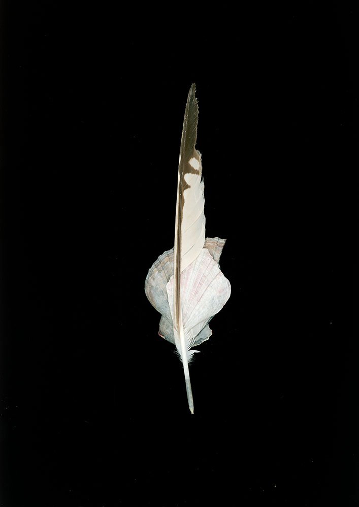 image01941 lab sharp.jpg