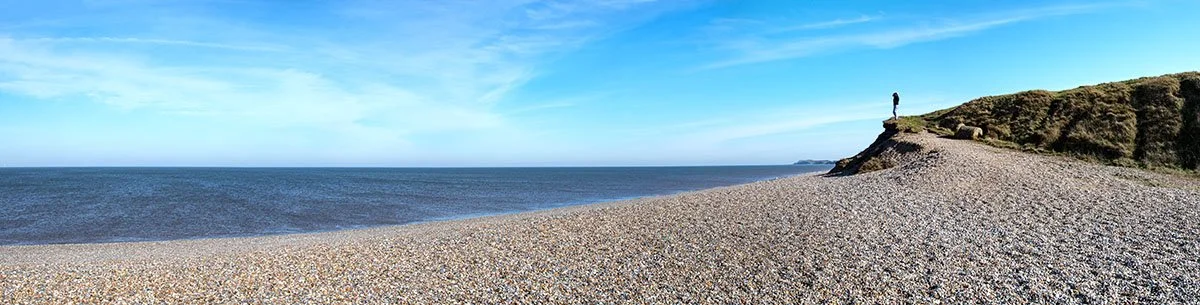 flat and crop 3 sharpened copy.jpg