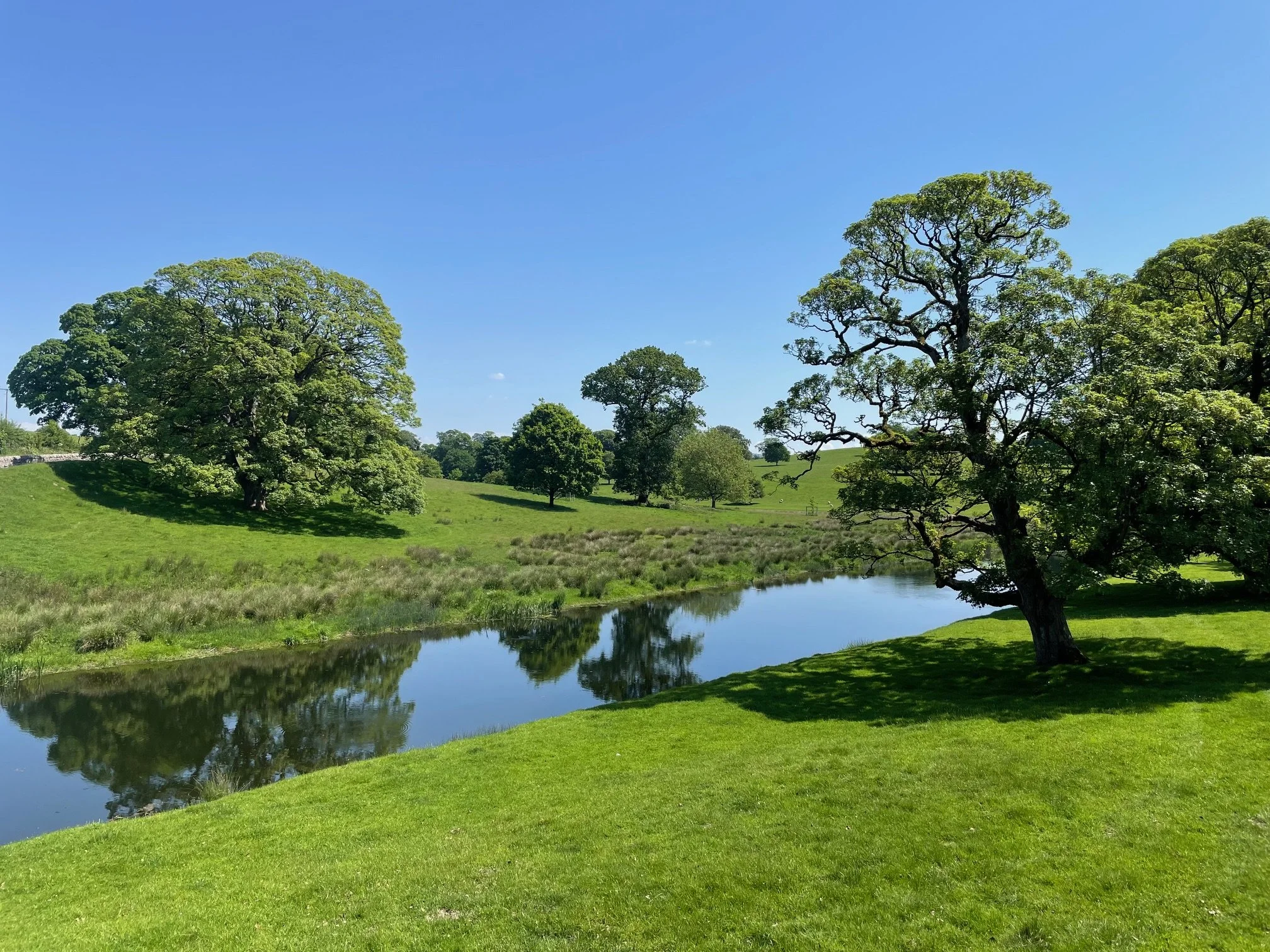 River on summer's day