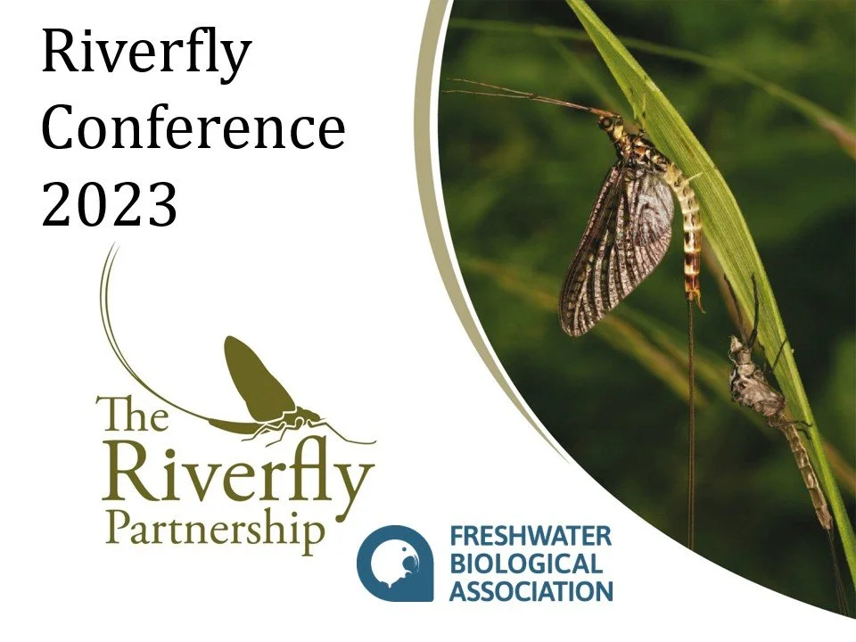 Conference a great success! Recording now available online.