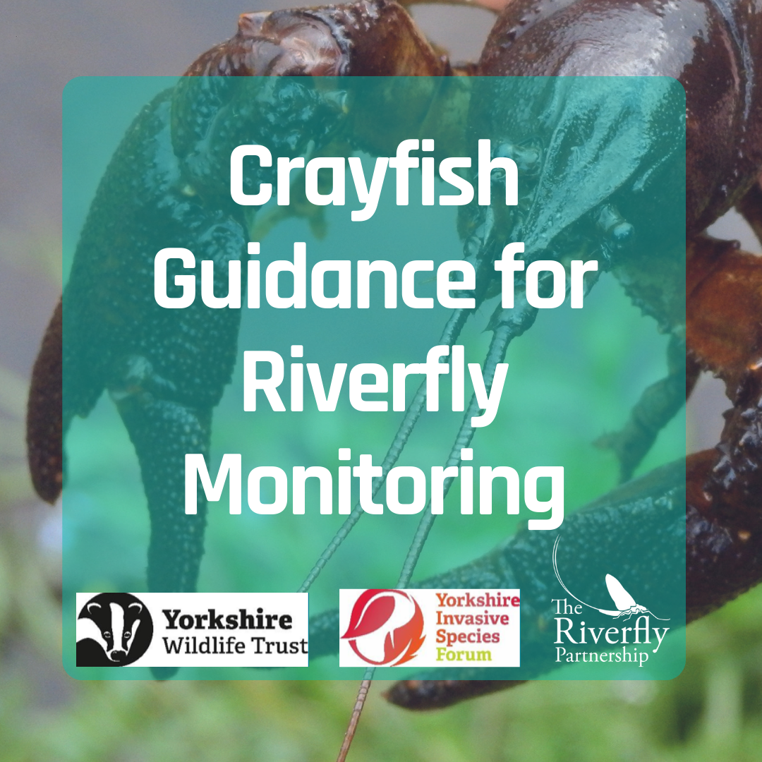 New crayfish guidance