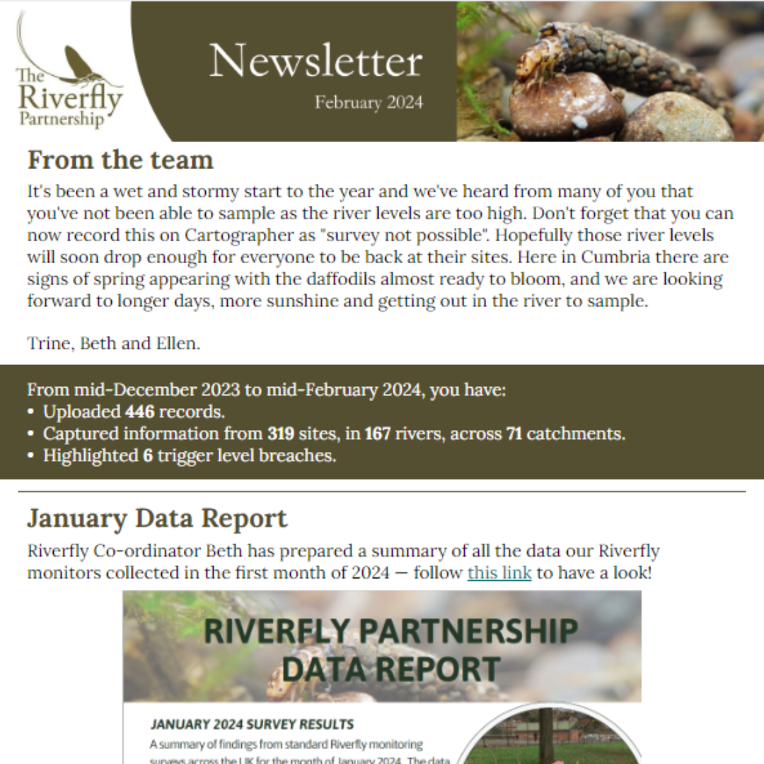 February Newsletter
