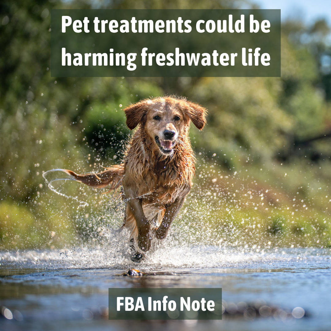 Pet Treatments Info Note