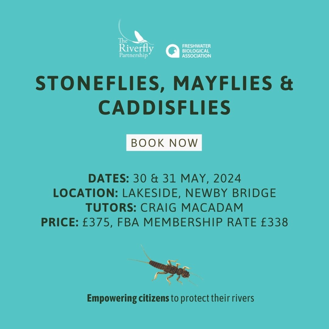 Fancy upskilling your riverfly knowledge with experts in the field? Don&rsquo;t miss your chance to book onto the FBA courses below ⬇

(Follow &lsquo;courses @ FBA&rsquo; link in our bio to book now!)

Stoneflies, Mayflies &amp; Caddisflies Course: 3