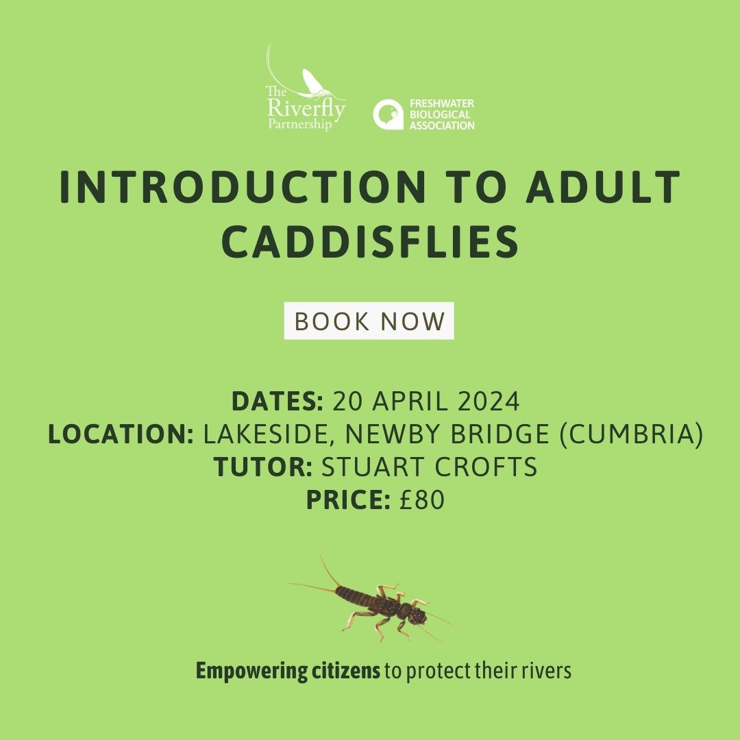 ❗LIMITED SPOTS LEFT❗ 

Fancy upskilling your riverfly knowledge with experts in the field? Don&rsquo;t miss your chance to book onto the FBA courses below ⬇

Follow &lsquo;courses @ FBA&rsquo; link in our bio to book now

Introduction to Adult Caddis