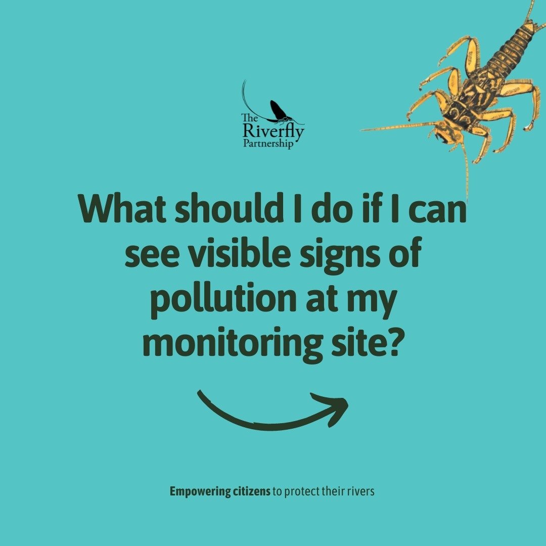 What should I do if I can see visible signs of pollution at my monitoring site?

Visible signs of pollution (e.g. dead fish, extreme change in water colour or smell) should immediately be reported to the statutory agency 24-hour incident hotline &nda