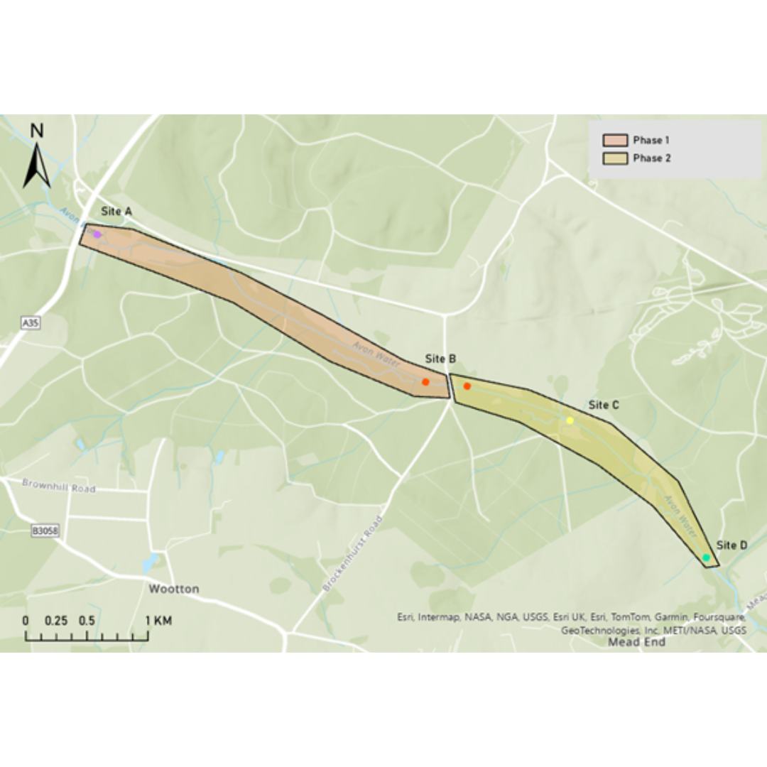 New Forest Riverfly Case Study