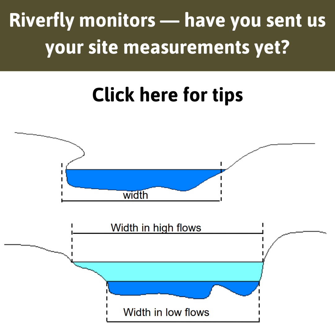 Guidance on site measurements