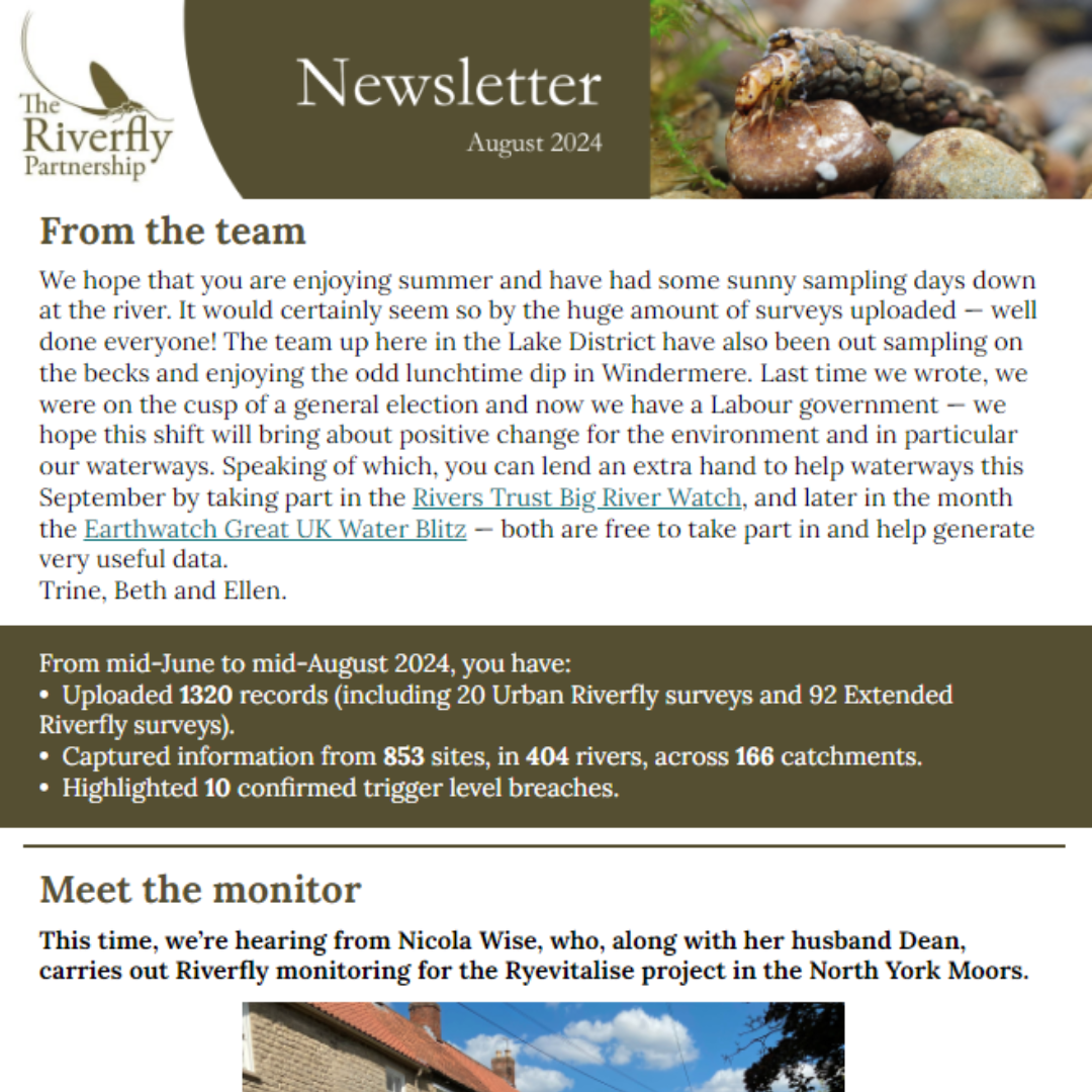 August newsletter