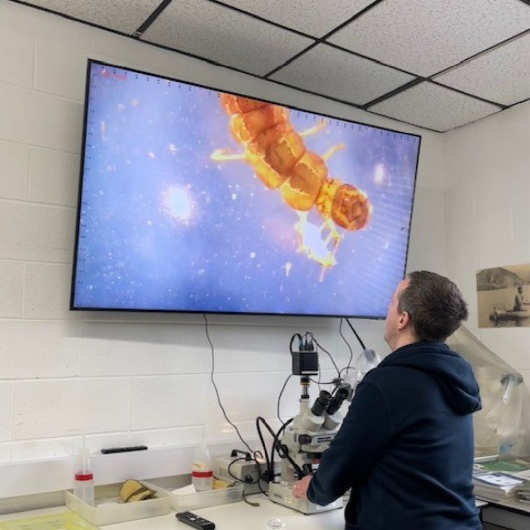 Aquatic Invertebrate Special Interest Group