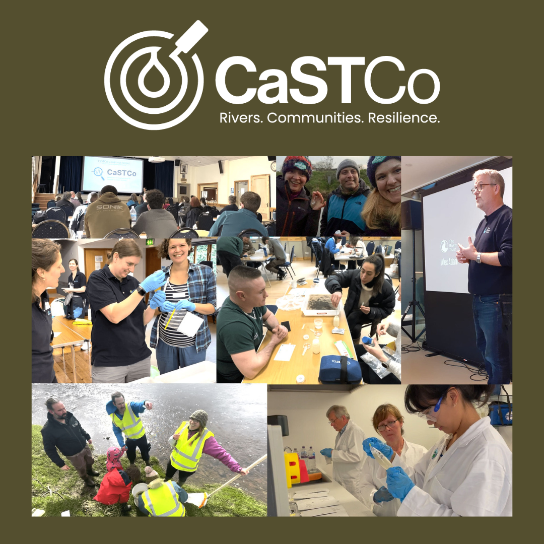 CaSTCo Collaborations