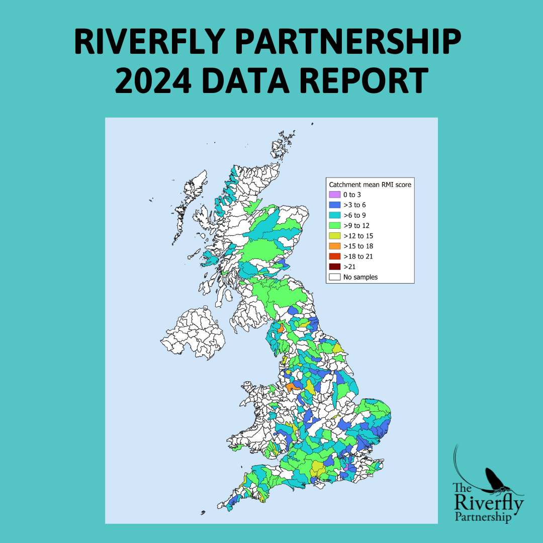 The 2024 Riverfly Data Report