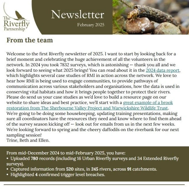 February 2025 newsletter