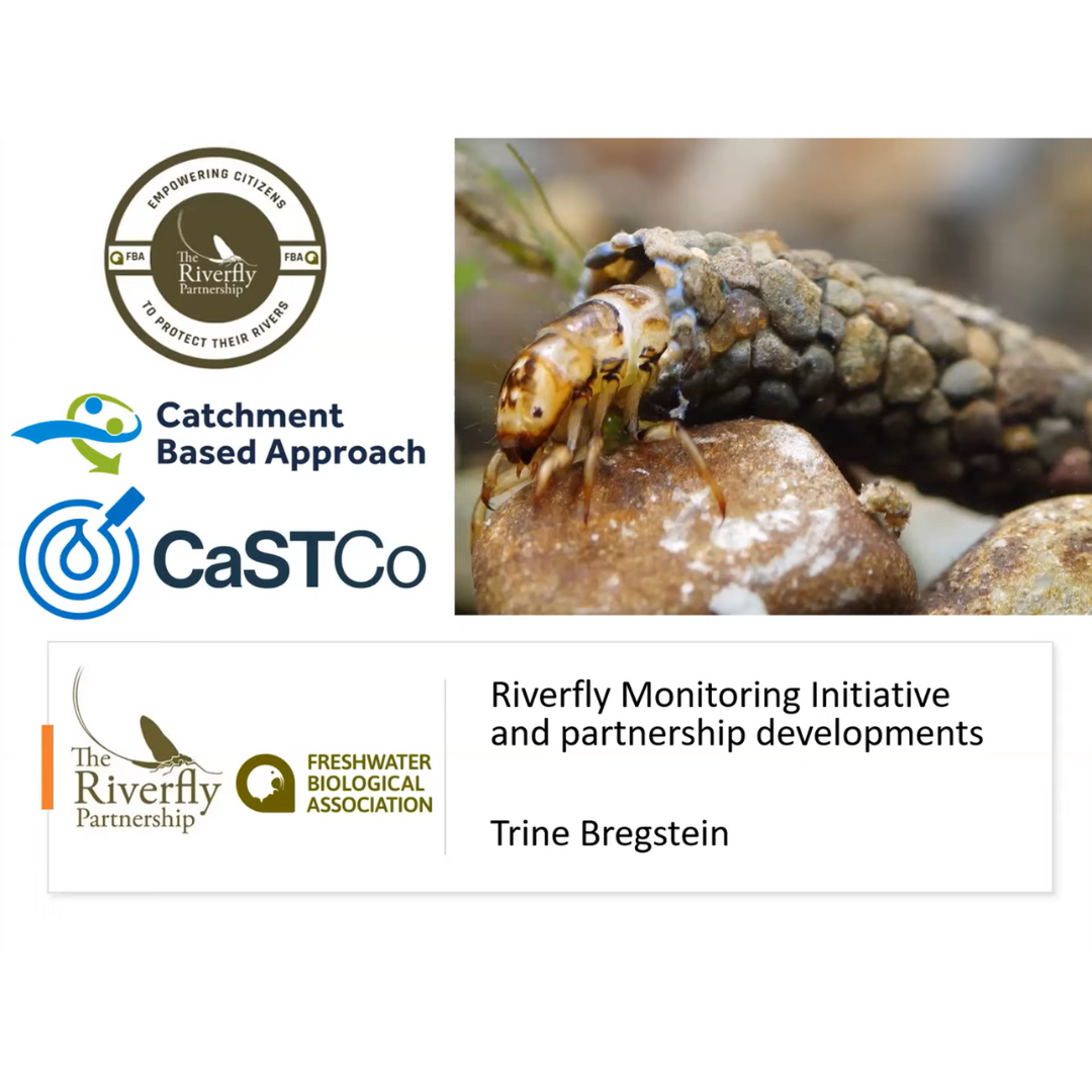 Webinar: the Latest Developments in Riverfly