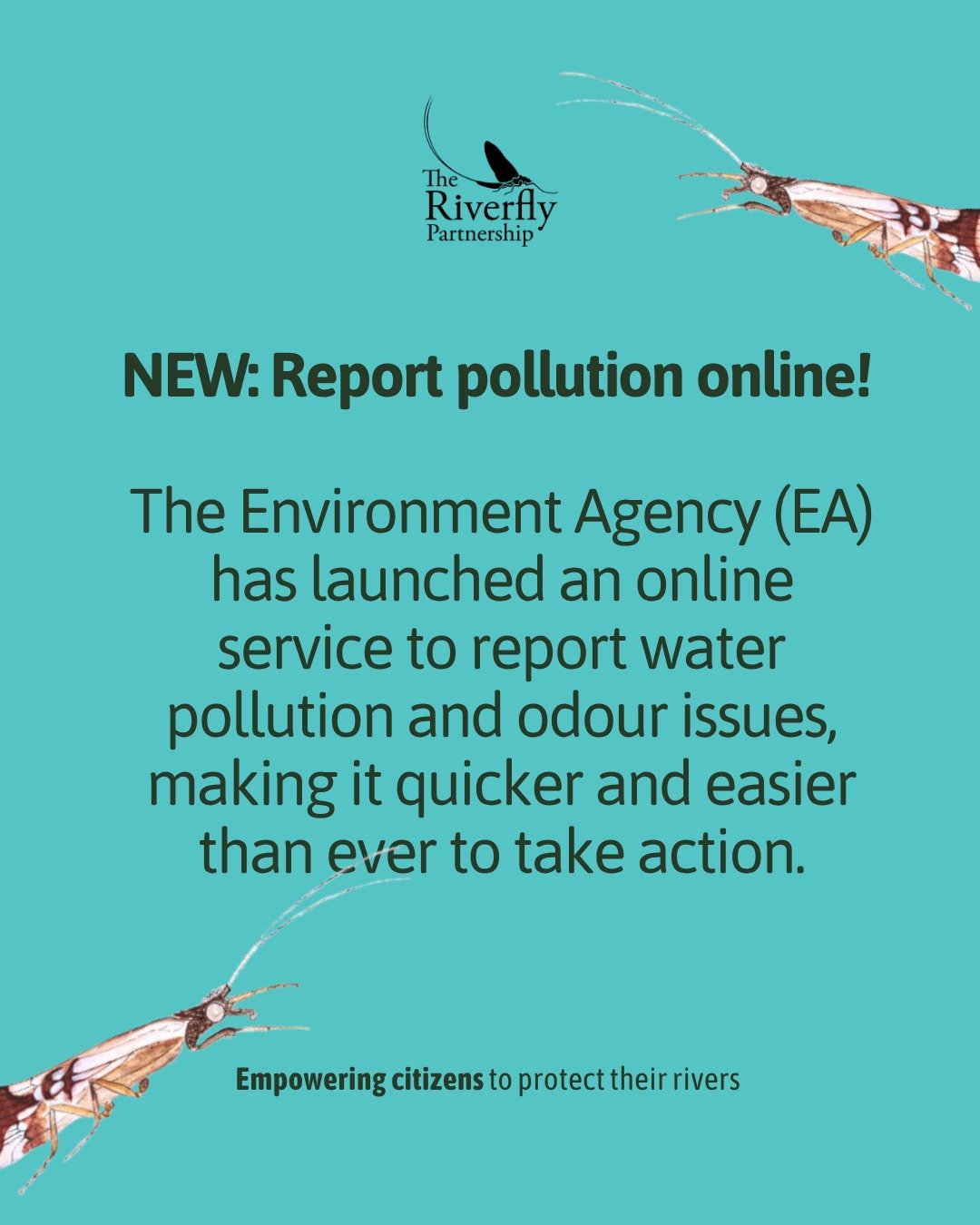 🚨 There&rsquo;s a new way to report pollution! 🚨

The Environment Agency has launched an online platform where anyone can report water pollution or odour issues directly. 🌊

🌍 But just a reminder, if you're a Riverfly monitor, our usual protocol 
