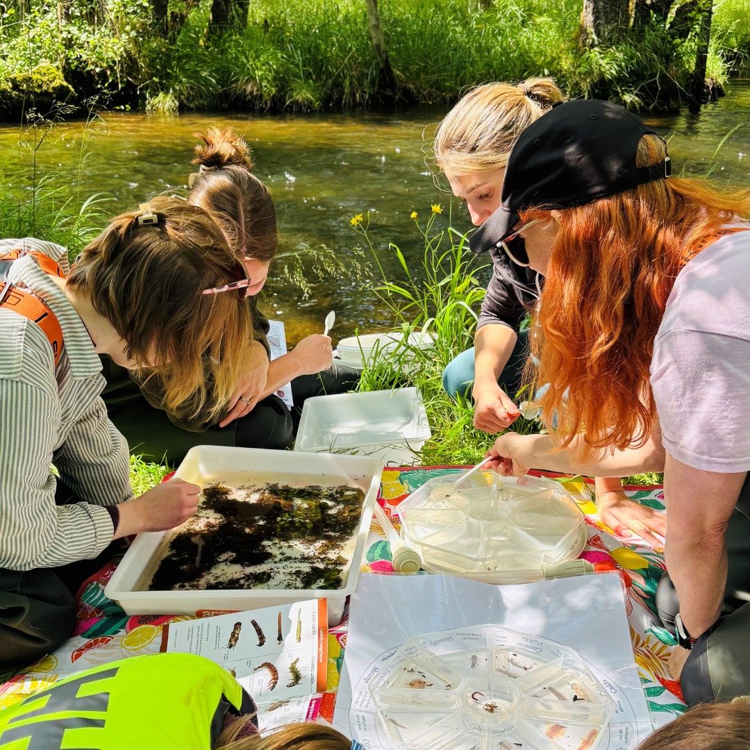 Riverfly HQ out on the bankside this Wednesday for a brilliant day of sampling! 🌞

Along with the @freshwaterbiological team getting stuck into sorting and ID'ing along Cunsey Beck, Windermere. 💧

#RiverflyPartnership #CunseyBeck #Windermere #River