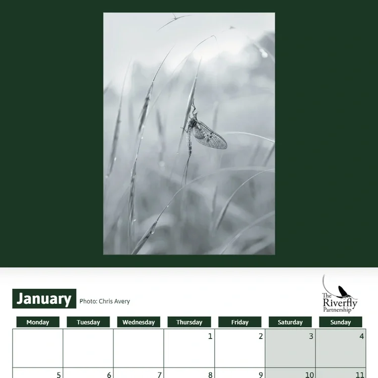 Buy your 2026 Riverfly calendar!
