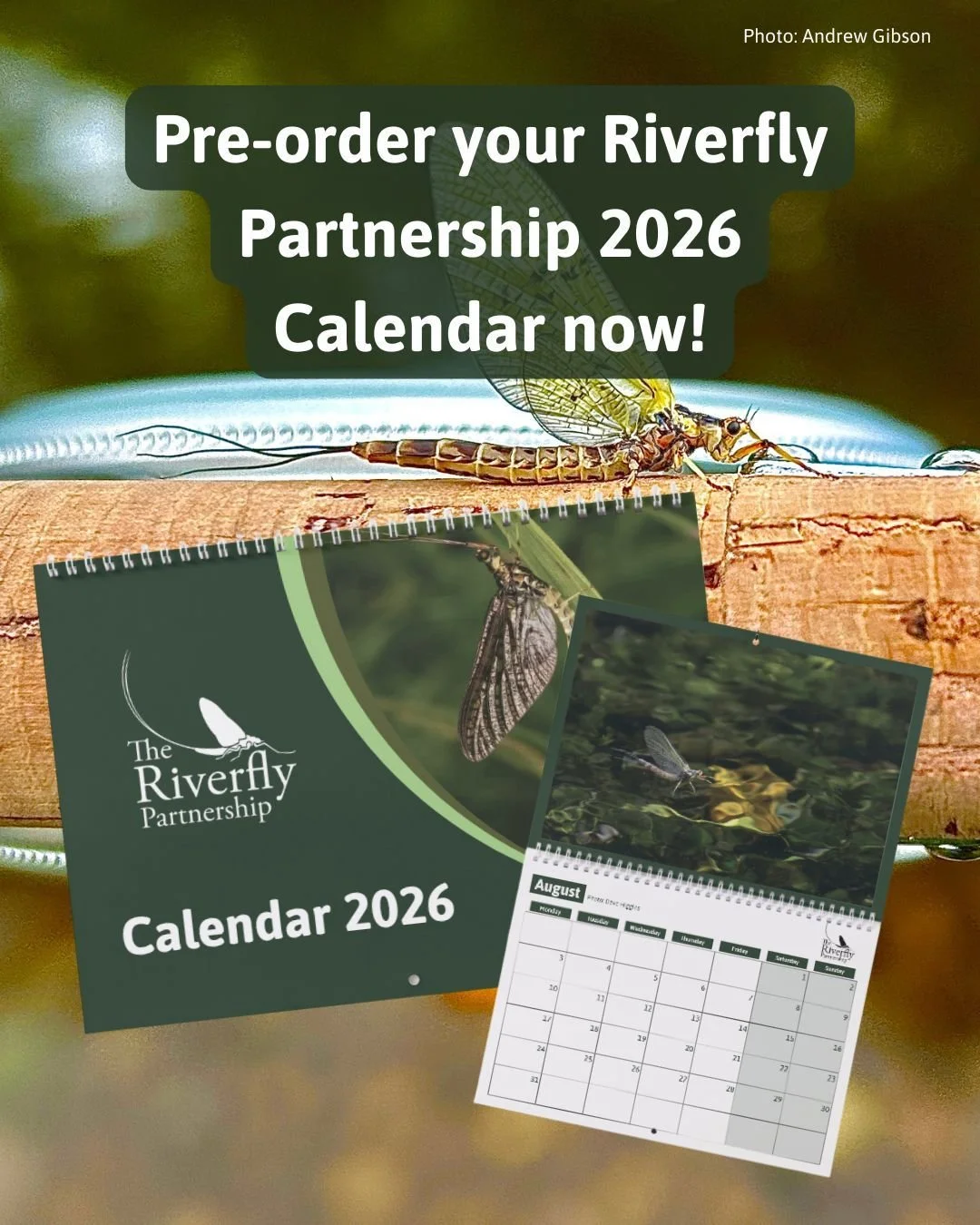 Riverfly Partnership 2026 Calendar - pre-order now!

Celebrate riverflies all year round 🐛

Featuring stunning photos from our Riverfly Photography Competition. Each month highlights the amazing species and habitats our volunteers help protect.

💧 