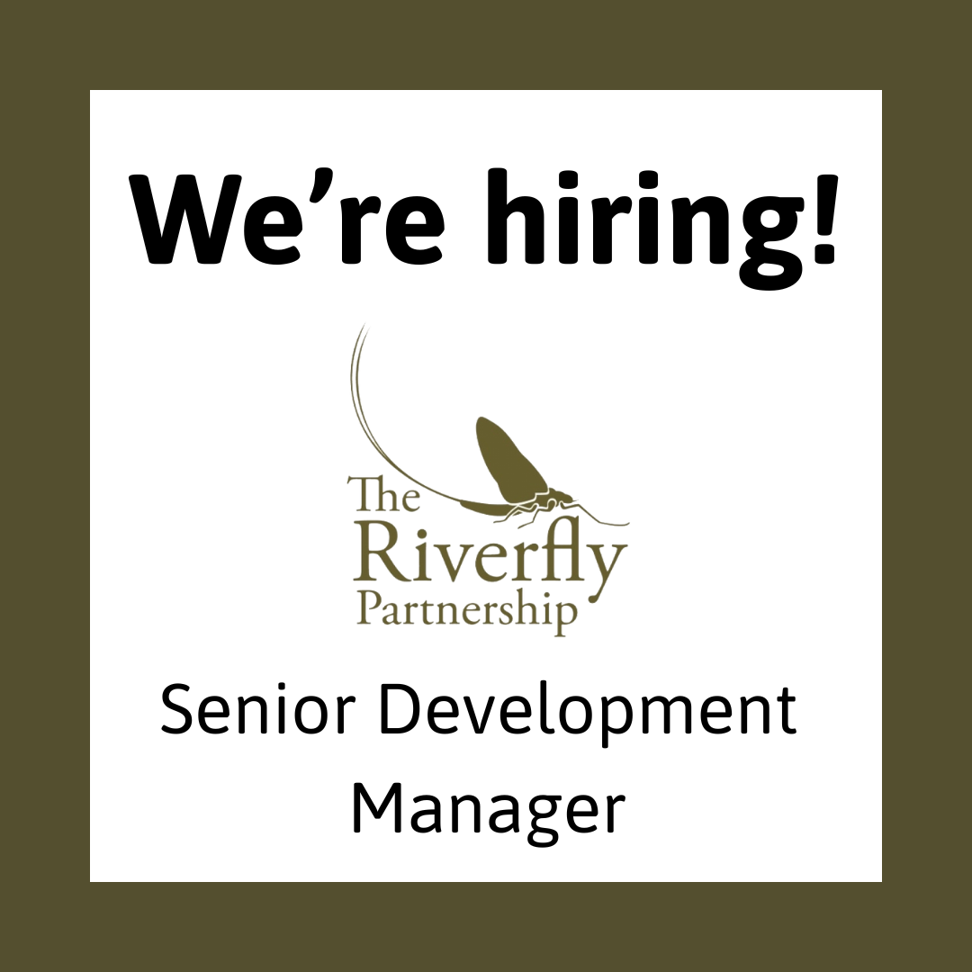 Riverfly Partnership job vacancy