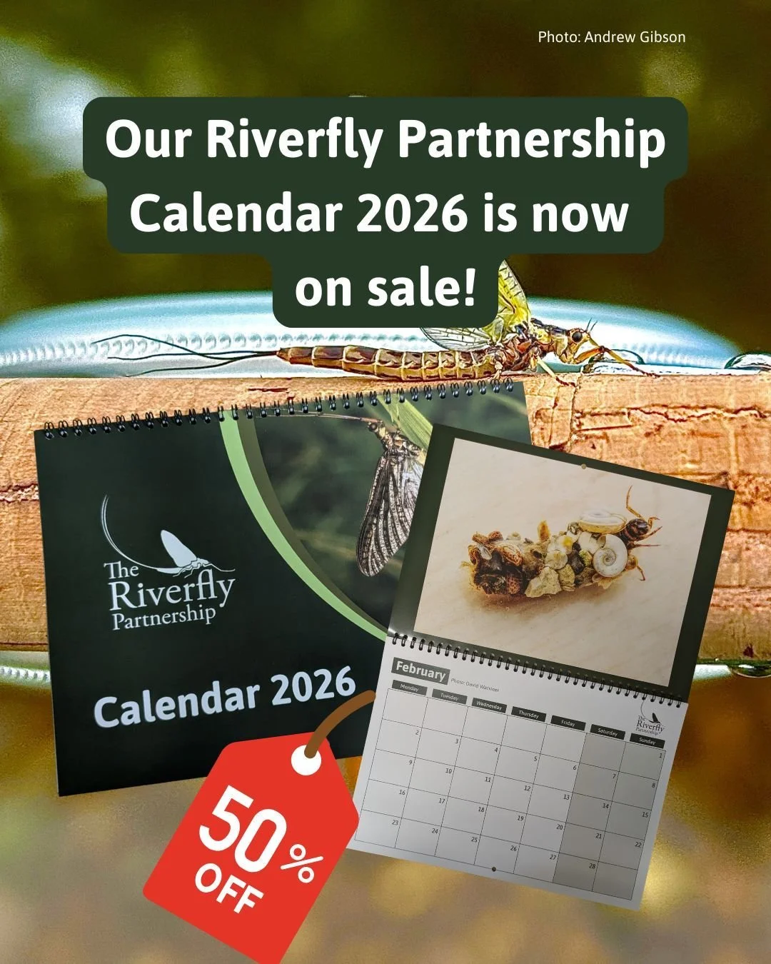 🗓️✨Riverfly Partnership Calendar 2026 - Now 50% OFF!✨🗓️

Happy New Year! Our Riverfly Calendar is now half price! Packed with stunning freshwater invertebrate images from our photography competition.

Every purchase supports the work of the Riverfl
