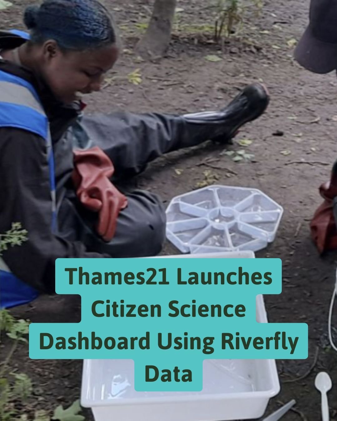 📊New Thames21 Citizen Science Dashboard!

Bringing together Riverfly and water quality data to shine a light on river health across the Thames Basin.

👉 Find out more: Link in bio