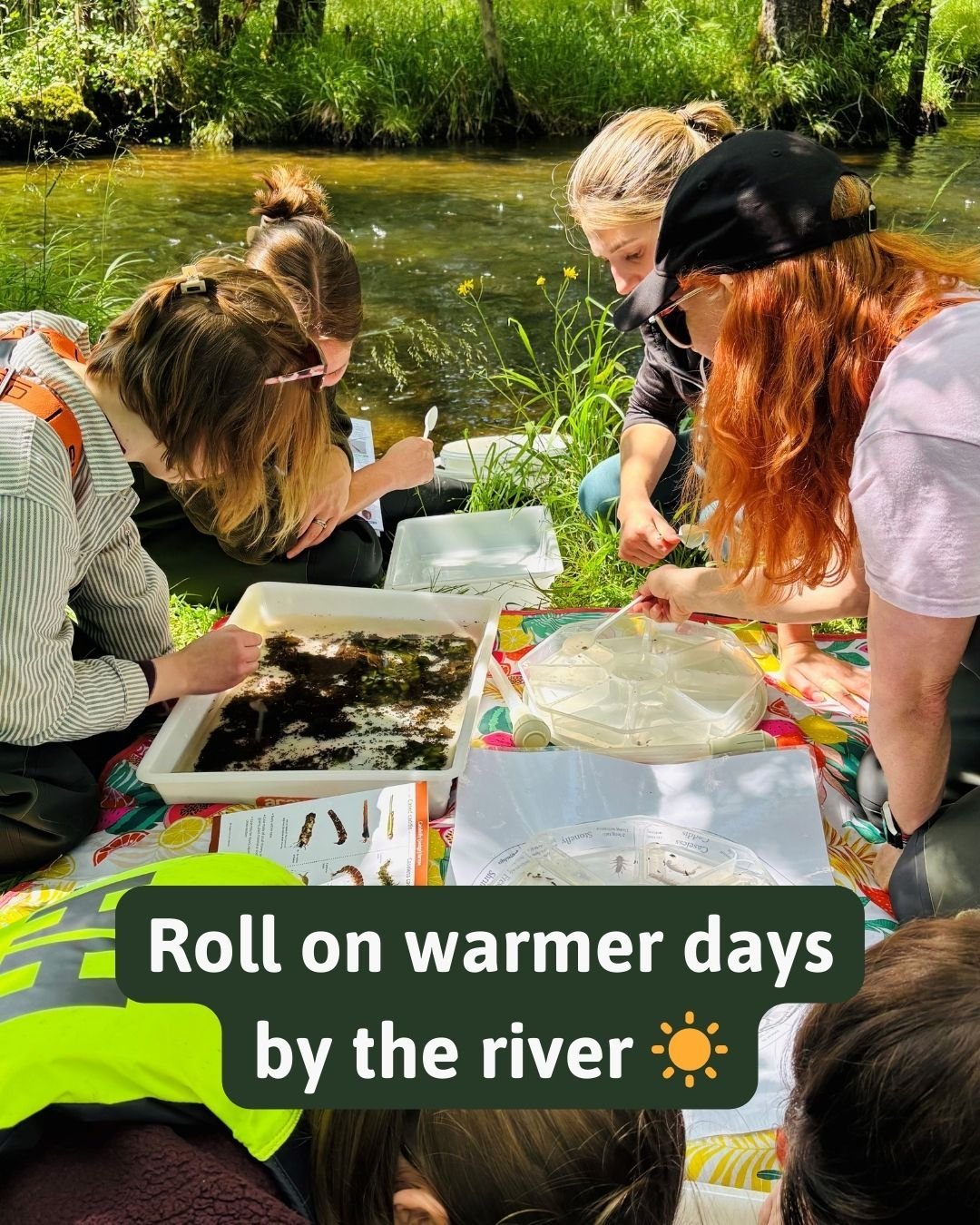 🌱With the first signs of spring appearing, the Riverfly HQ team is already looking forward to warmer days back out sampling by the river.

☀️This sunny snapshot from summer 2025 has us excited for the season ahead!

#Riverfly #CitizenScience #Spring