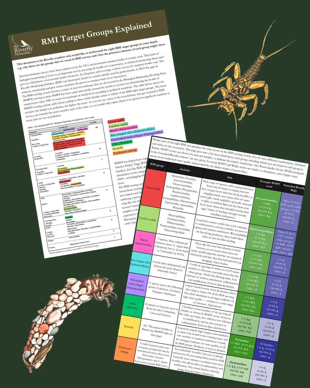 🔎 We have all sorts of useful resources for Riverfly monitors on our website!

💧 If you've ever wanted to understand the 'RMI Eight' in more depth, such as why these are the groups that get counted, and what the presence and absence of each group m