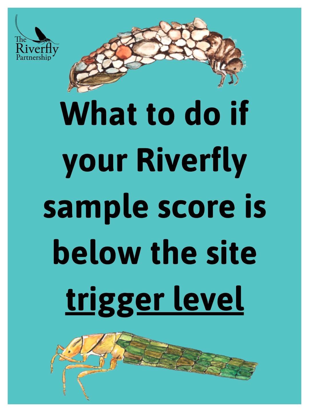 🚨 A reminder for all Riverfly monitors on what to do if you get a trigger level breach!

⌚ Remember, for it to count as a "confirmed trigger level breach", you need have done a second sample within 48 hours. Be sure to select 'Second sampl