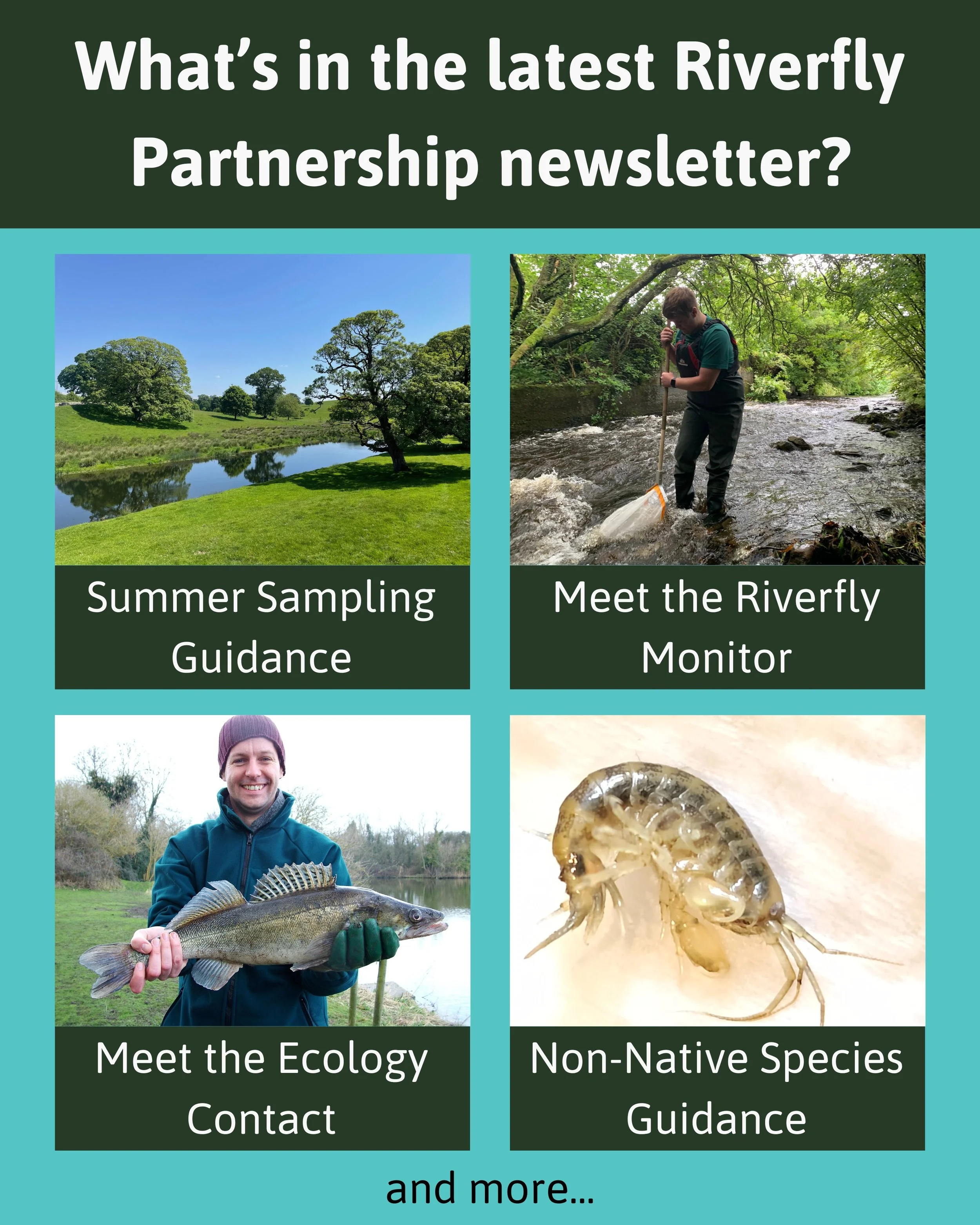 Our June newsletter is out now! If you'd like to read it, or sign up to our mailing list so future issues come directly to your inbox, go to riverflies.org/newsletters.