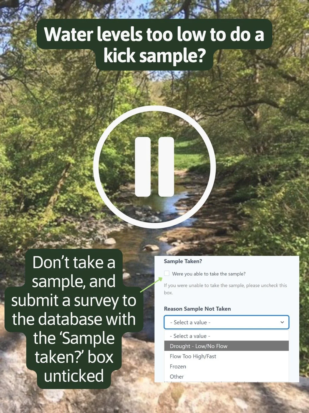 📏 Some of us might see water levels dropping at our sites over the summer, if we get prolonged periods of dry weather.

🛑 If the water level is too low to get invertebrates into the net, there's no need to attempt a kick sample. However, please sti