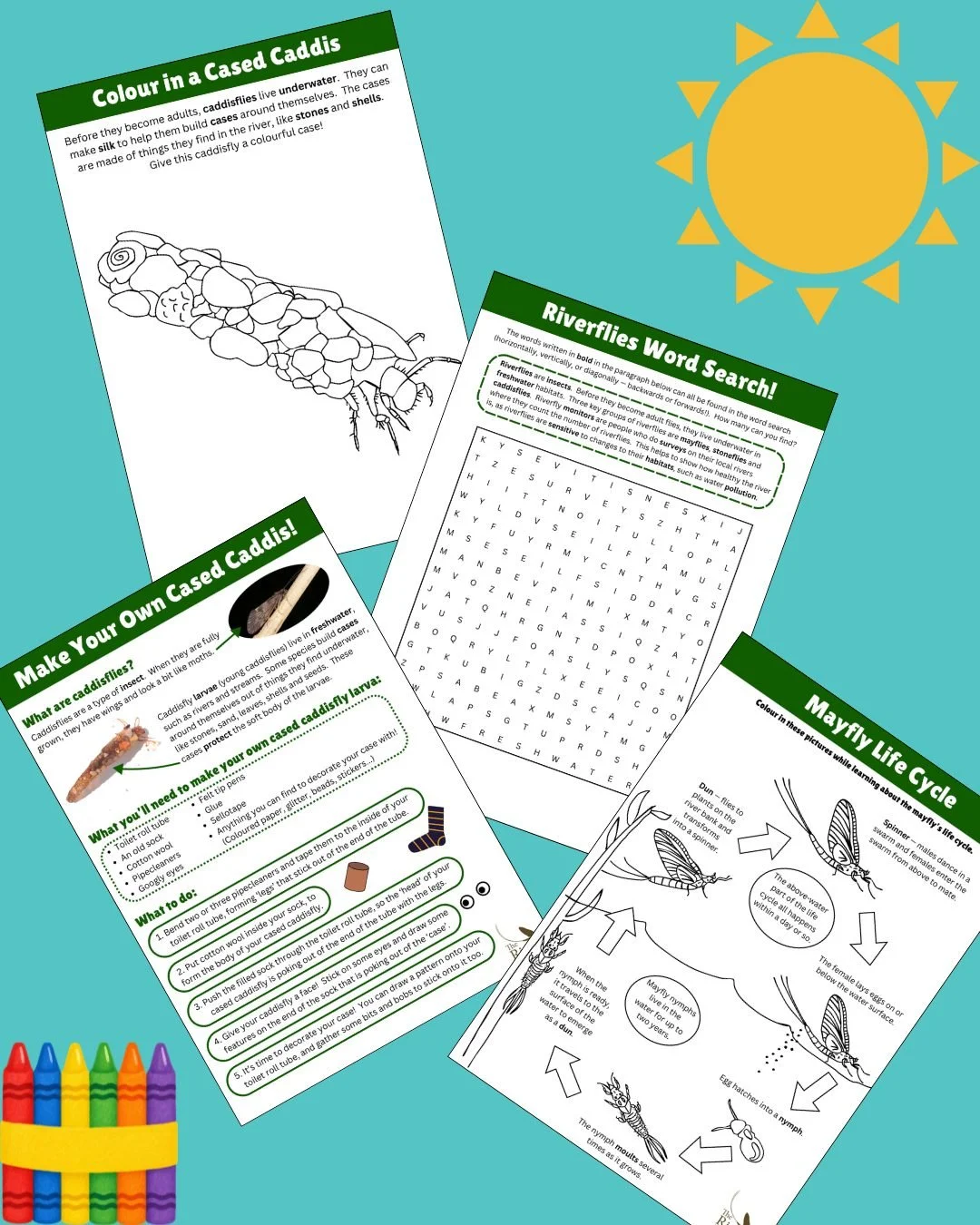 ☀️ Trying to keep kids occupied this summer holiday? Could they be the Riverfly monitors of the future?! Why not treat them to a trip down to the river to look at some creepy-crawlies? If that leaves them wanting more riverfly fun, we've got colourin