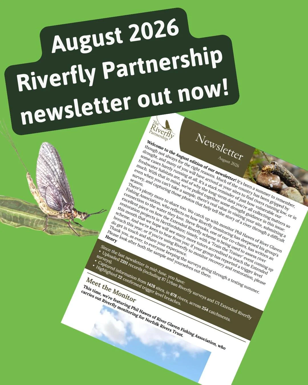 The August 2026 newsletter has now been sent out! If you're not on our mailing list, don't worry &ndash; you can read the latest issue and sign up for future updates at www.riverflies.org/newsletters