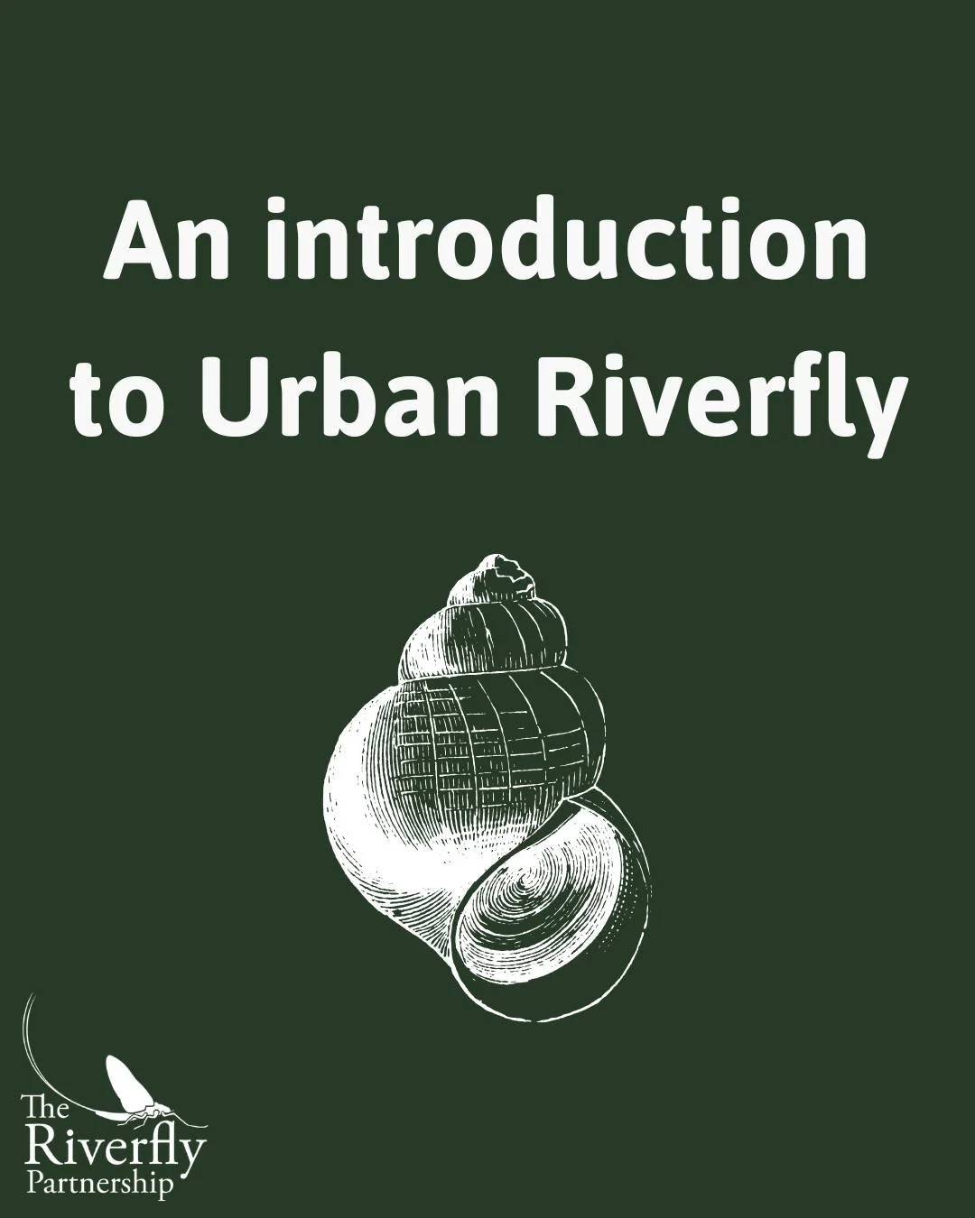 A common misconception is that Riverfly monitoring is only for those living in rural areas, with access to gorgeous streams teeming with fly life...

The Urban Riverfly scheme was developed to allow more meaningful monitoring to be done on rivers whe