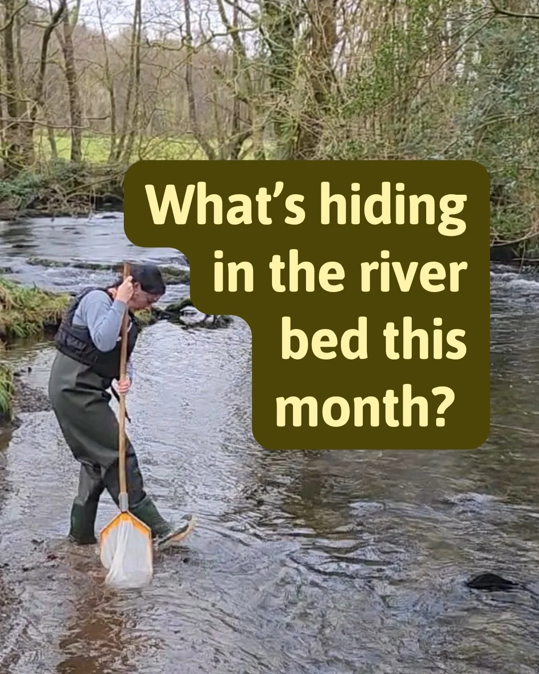 Being a great citizen scientist this month can potentially mean taking a pause on getting in the river. 🐟

Many groups pause their kick-sampling entirely during this period because of advice against it due to reasons such as weather, heavy river flo