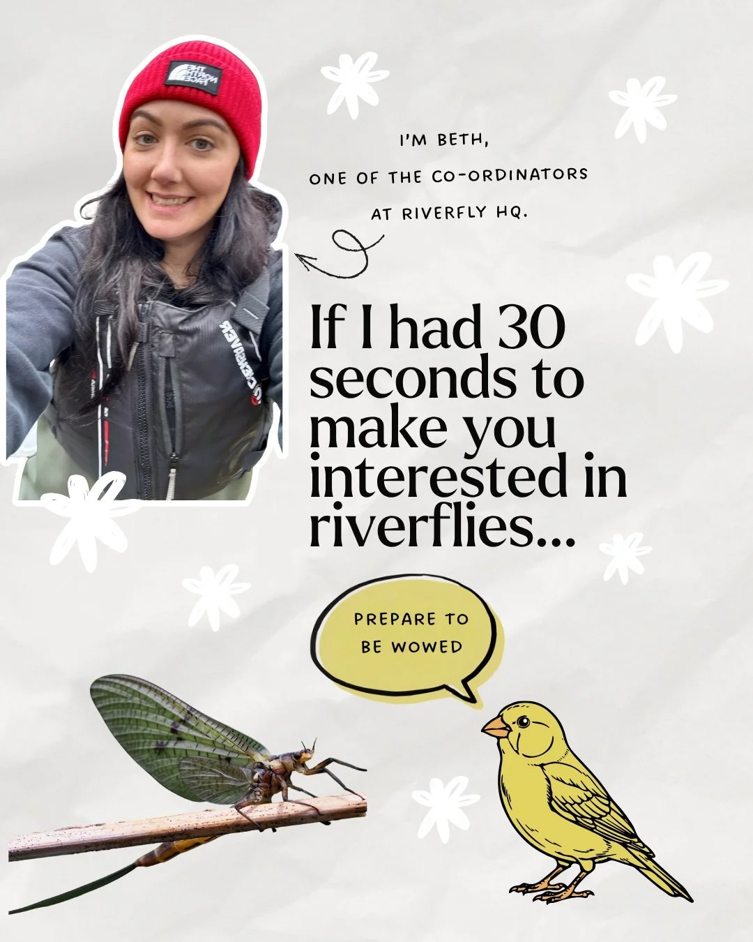 Have I piqued your curiosity? 🧐🤞

By spending just an hour or two a month monitoring these incredible invertebrates, you can provide vital data that actively protects your local river.🐟

Email info@riverflies.org find your local group and get invo