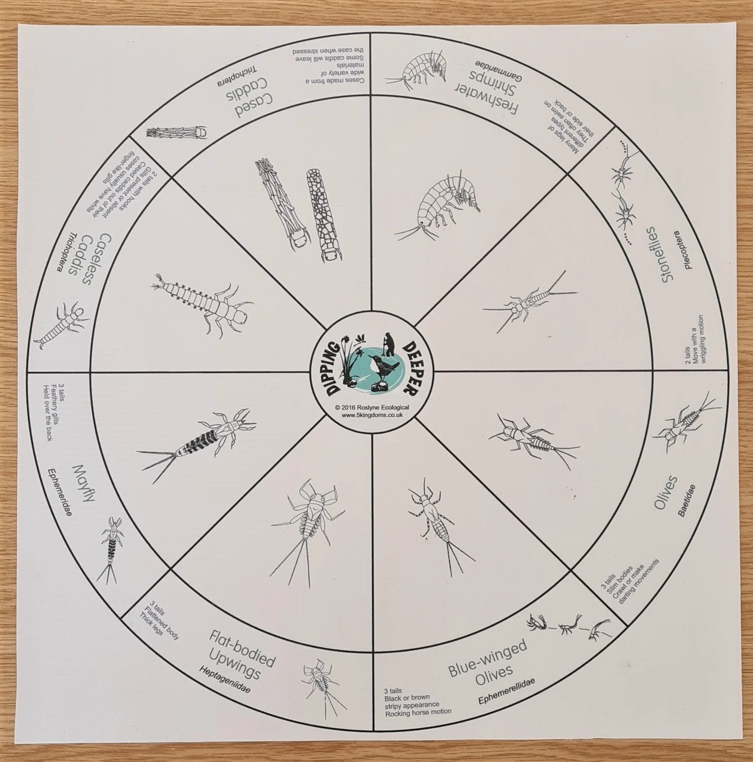 Key Documents — The Riverfly Partnership
